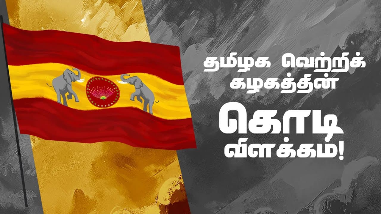 தமிழக வெற்றிக் கழகம் - கொடி விளக்கம்